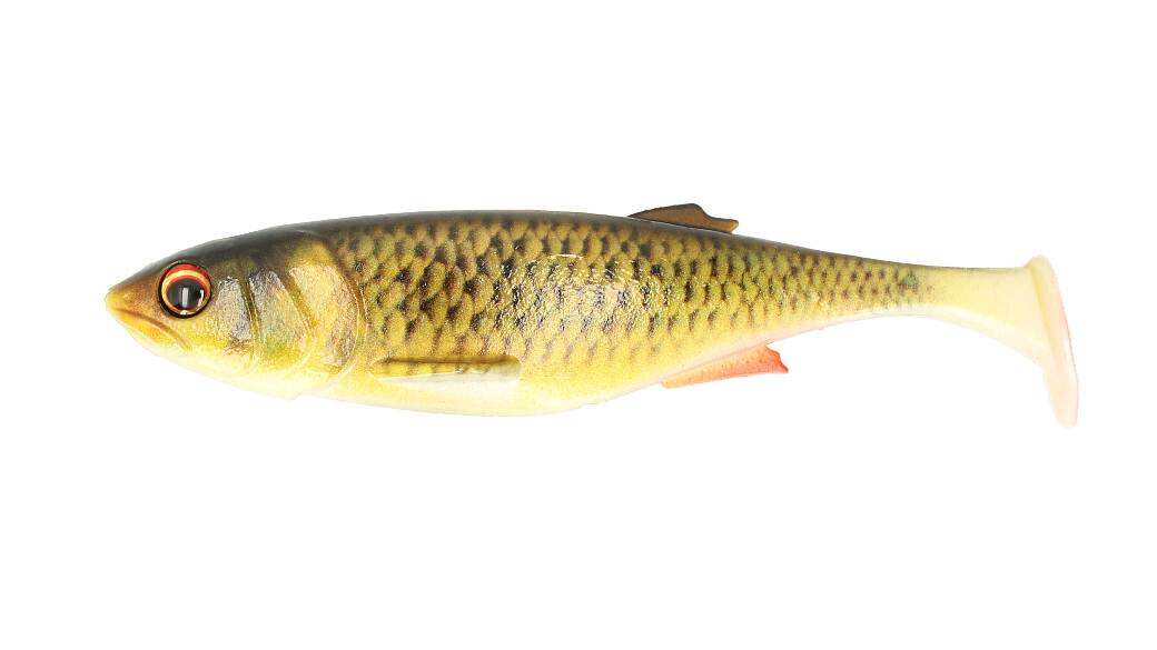 MAJOR CRAFT Stabi Shad 4 - Live Roach MAJOR CRAFT Stabi Shad 4 - Live Roach