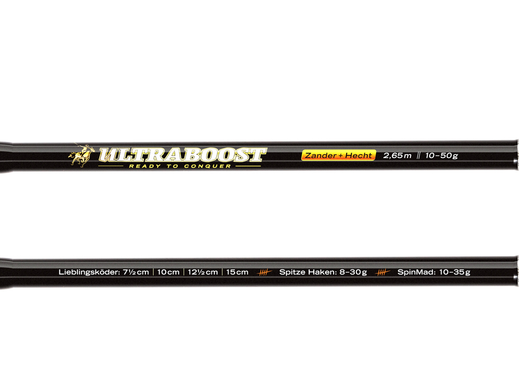 Angelset Zander/Hecht - Ultraboost Zander/Hecht Rute + Rolle Daiwa Fuego LT 4000 CP
