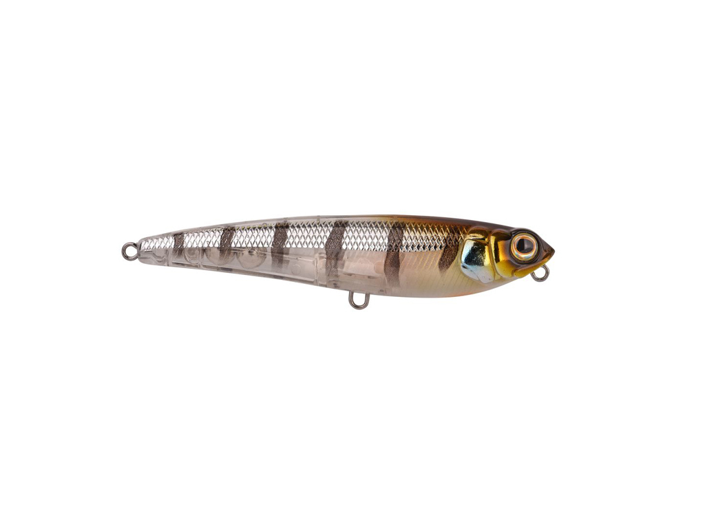 Spro  Stickbait - IKIRU SURF DAWQ 115 mm - Buzzer